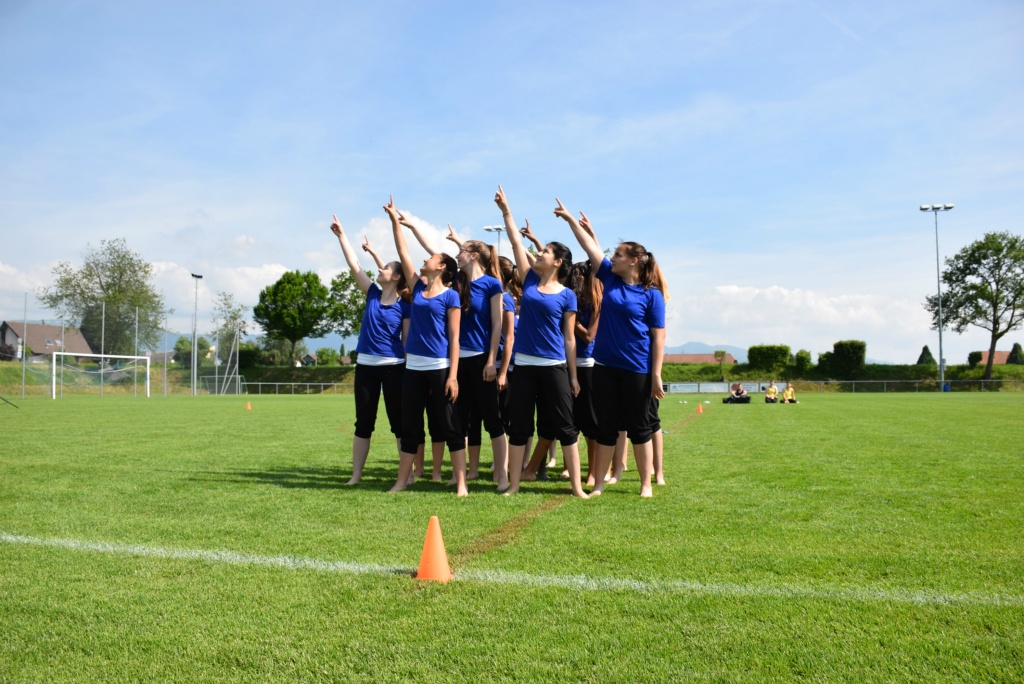 Bild (88)